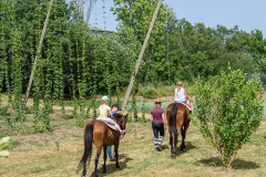 2022-06-Brauereifest-130-Jahre-041