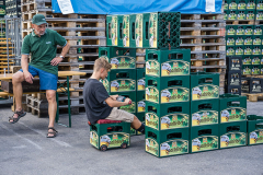 2025_Hopfenzupfen_070