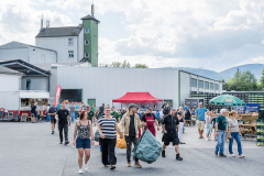 2025_Hopfenzupfen_093