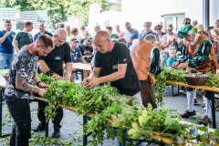 2025_Hopfenzupfen_148