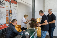 2026_Hopfenzupfen_056
