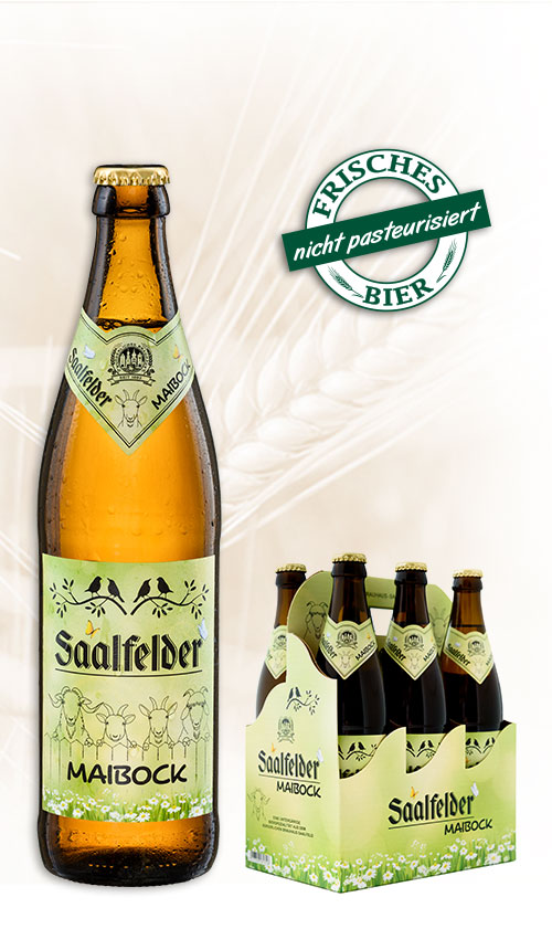 Saalfelder Maibock in der 0,5 l-Flasche und im 6er Träger