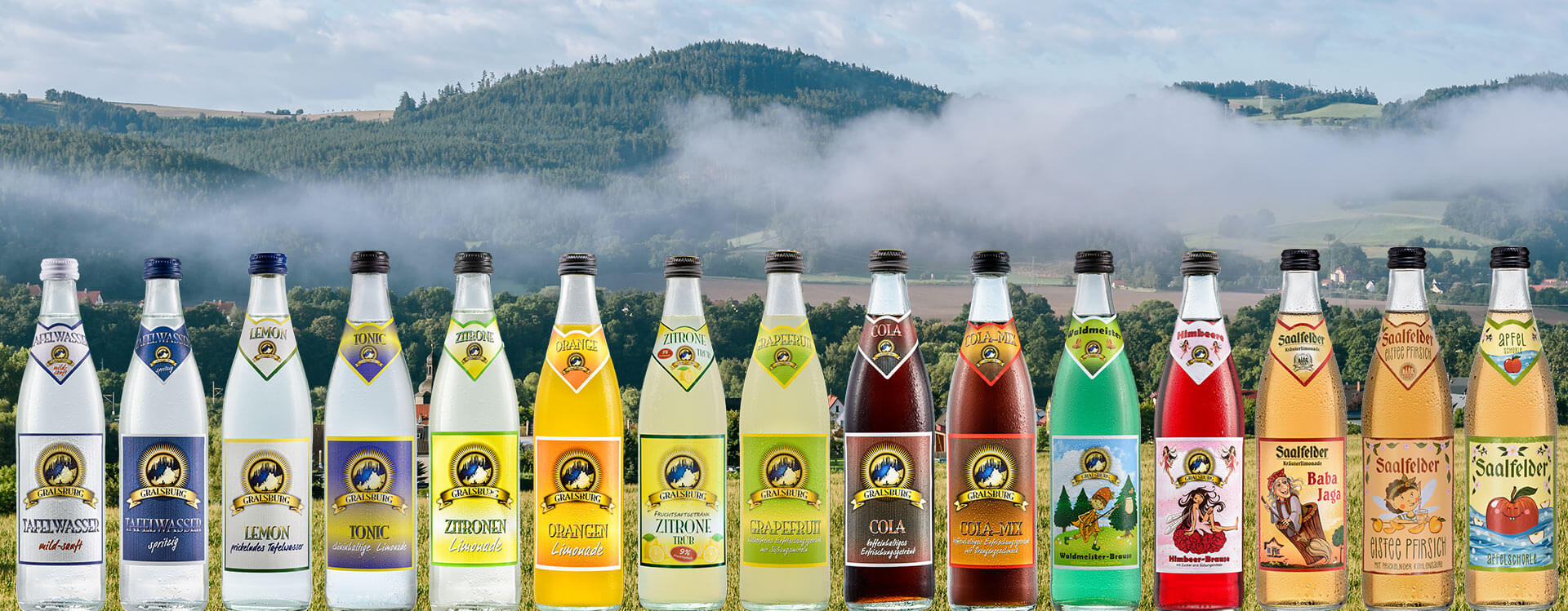 Saalfelder Tafelwasser und Limonaden - 15 verschiedene Flaschen